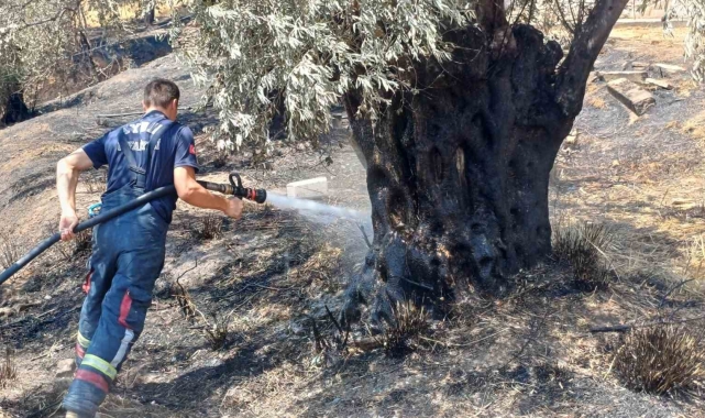 Aynı yer yeniden yandı ekipler harekete geçti