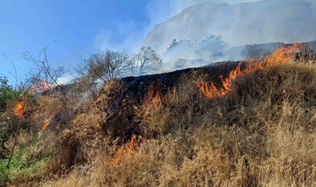 Aytepe mesire alanında yangın
