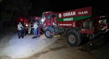 Ayvalık'ta ki orman yangını kontrol altına alındı