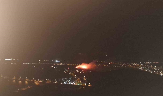 Ayvalık'ta orman yangını