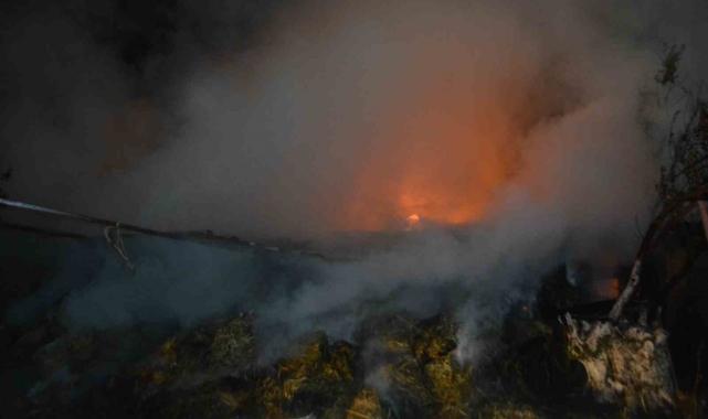 Ayvalık&#039;ta samanlıkta çıkan yangın zeytinlik alana sıçramadan kontrol altına alındı