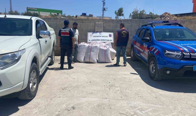 Babasının tarlasından 1,5 ton Antep fıstığı çalan şüpheli yakalandı
