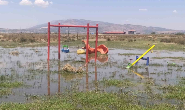 Bakımsız kalan kanallar merayı bataklığa çevirdi