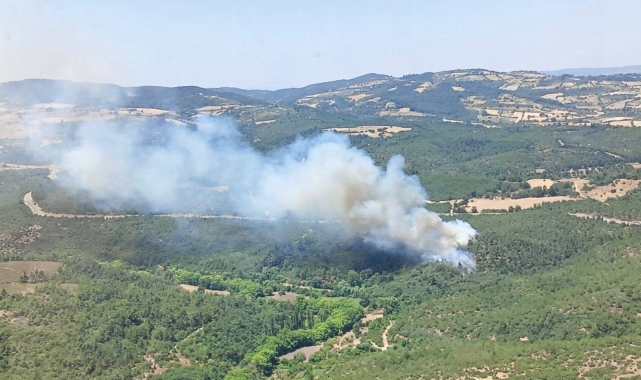 Balıkesir'de orman yangını