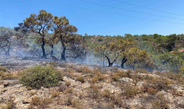 Balıkesir'in tatil beldesinde makilik alanda yangın çıktı