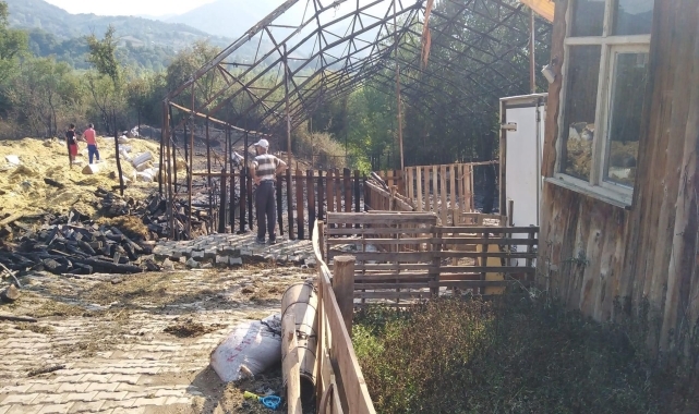 Bartın'da ahır yangınında 24 küçükbaş hayvan telef oldu