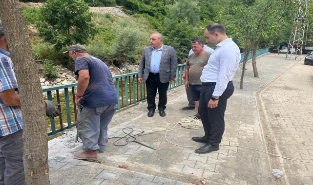 Bartın'dan kısa kısa