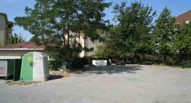 Başakşehir'de sokak hayvanlarına mama tartışmasında cinayet iddiası