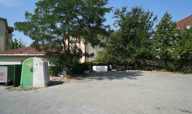 Başakşehir'de sokak hayvanlarına mama tartışmasında cinayet iddiası