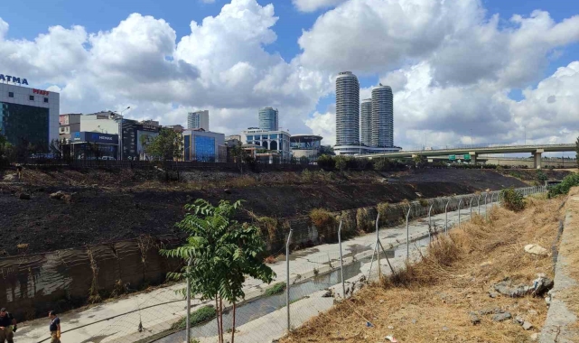 Basın Ekspres Yolu'nda 2 genç yol kenarında bulunan otları ve ağaçları yakıp kaçtı