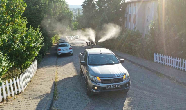 Başiskele'de vektörle mücadele başladı