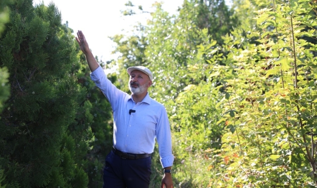 Başkan Çolakbayrakdar: "Daha yeşil bir Kayseri için çalışıyoruz"