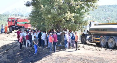 Başkan Kotan, Doyran'daki yangın alanında incelemelerde bulundu