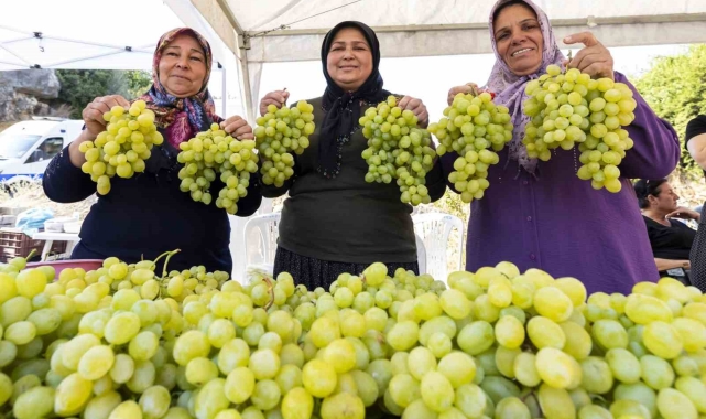 Başkan Seçer: "Akdeniz meyve sineğiyle mücadeleye katkı yapacağız"