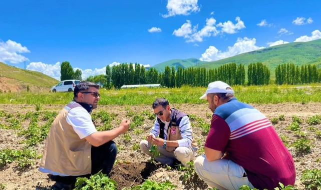 Bayburt'ta patates ekili alanlarda hastalık ve zararlı kontrolleri yapıldı
