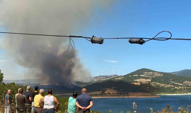 Bayramiç'te orman yangını