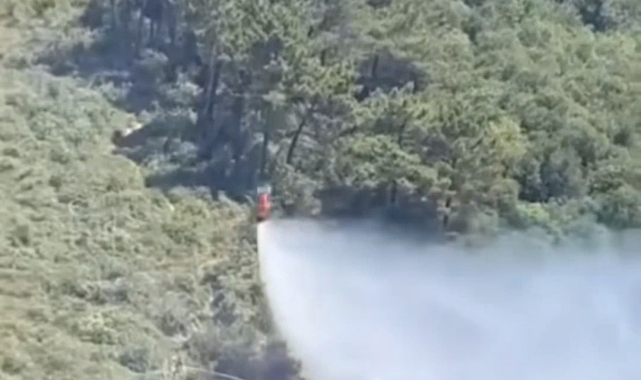 Beykoz'da çıkan orman yangını söndürüldü