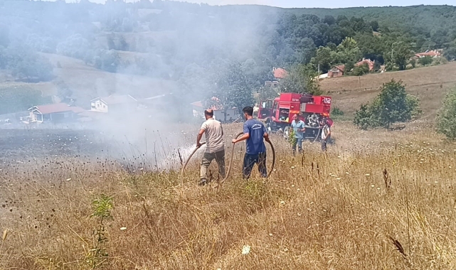 Bilecik'te çıkan ot yangınında 1 kişi hastanelik oldu