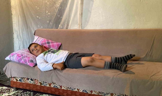 Bingöl'de başıboş köpekler 8 yaşındaki çocuğa saldırdı