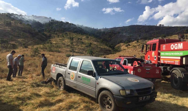 Bingöl'de çıkan yangınlar söndürüldü