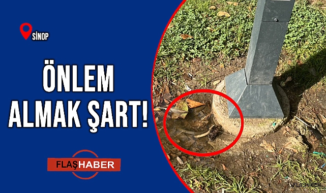 BİRİNİN BAŞINA BİRŞEY GELMEDEN!