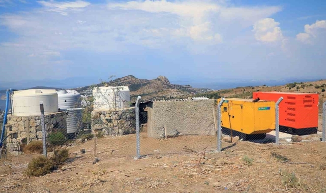 Bodrum'da yaşanabilecek koku ve sineklere önlem