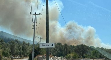 Bodrum'daki orman yangınına havadan ve karadan müdahale devam ediyor