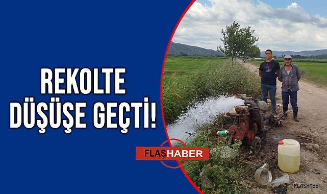 BOYABAT ÇELTİĞİNİ KURAKLIK VURDU!