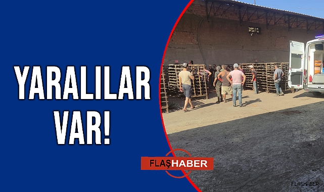 BOYABAT'TA İŞ KAZASI!