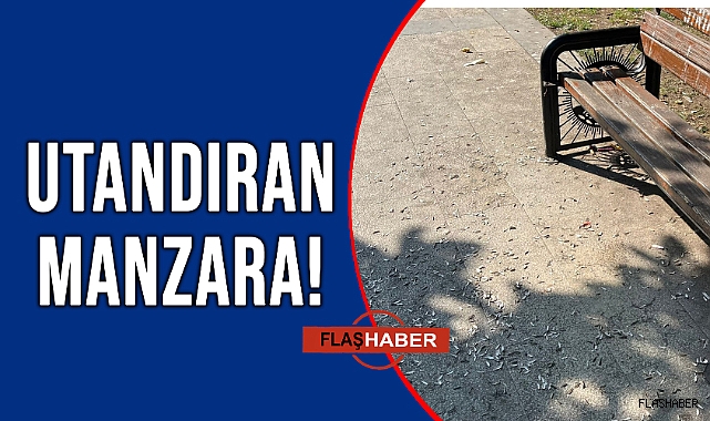 BÖYLECE BIRAKIP GİTTİLER!