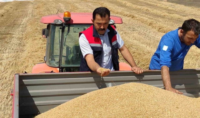 Bozüyük'te biçerdöver denetimi ve hasat yapılan hububat tarlalarında kontroller