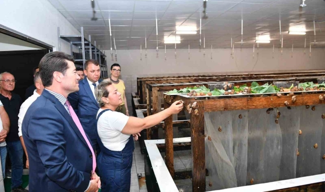 Bulgaristan'dan getirip Trabzon'da üretmeye başladılar