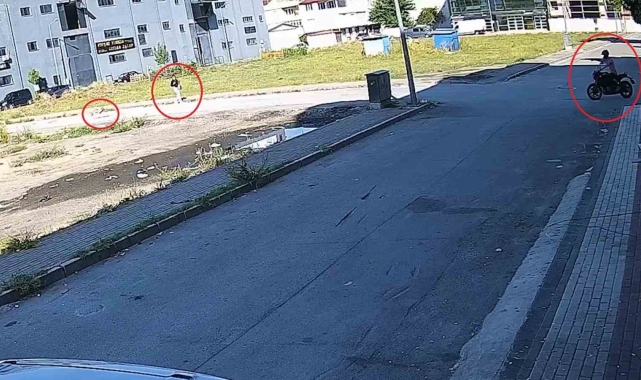 Bursa'da sokak köpeğinin saldırısından kadını kurtardı... O anlar kamerada