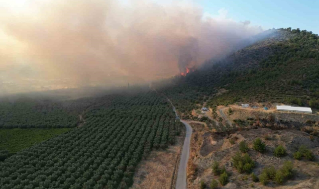 Bursa'da yangın