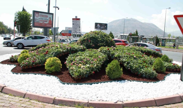 Büyükşehir kentin dört bir yanını 800 bin adet çiçek ile donattı