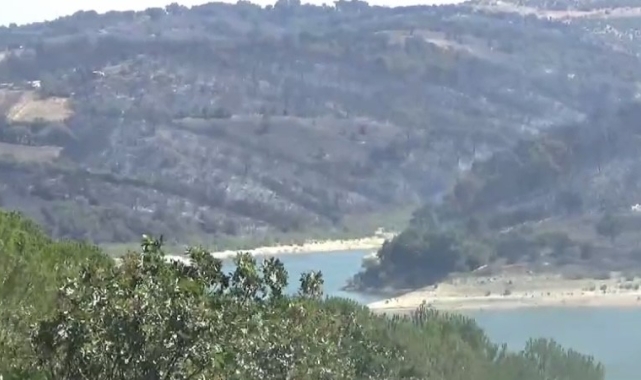 Çanakkale'de orman yangınını kontrol altına alma çalışmaları sürüyor