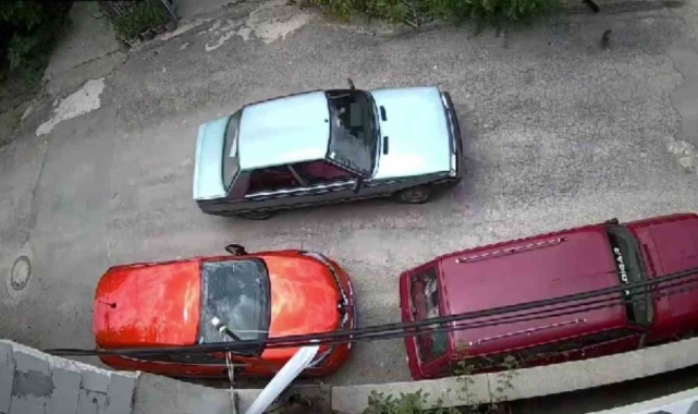 Çarptığı kedi telef oldu, o yoluna devam etti