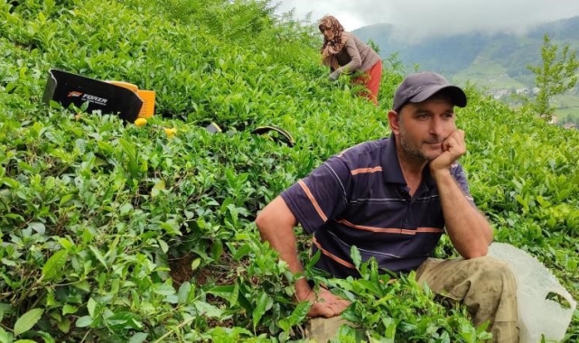 ÇAYKUR günlük çay alım kontenjanını bu kez de 20 kilograma düşürdü