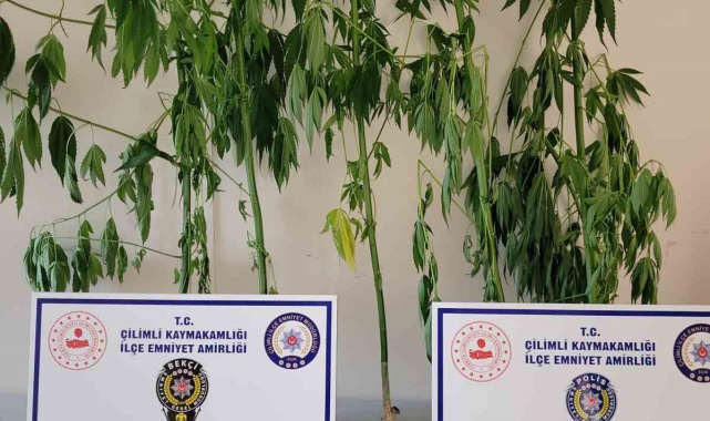 Çilimli'de polis uyuşturucuya geçit vermiyor