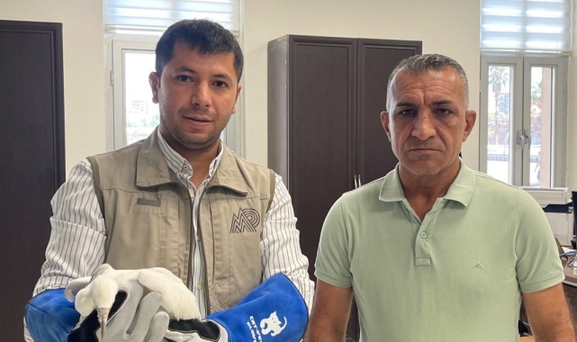 Cizre'de yaralı bulunan küçük "Ak balıkçıl" tedavi altına alındı