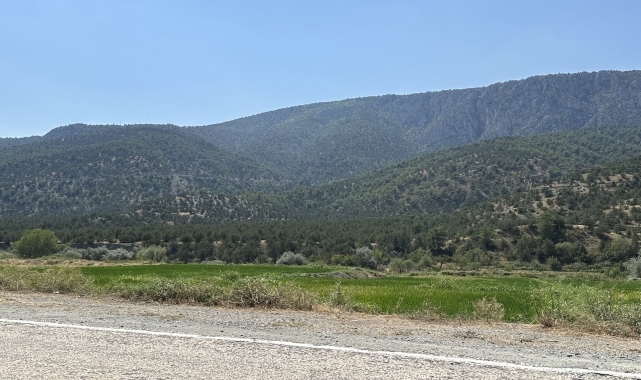 Çorum'da çıkan orman yangını kontrol altına alındı