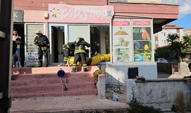 Çorum'da petshopta çıkan yangın söndürüldü