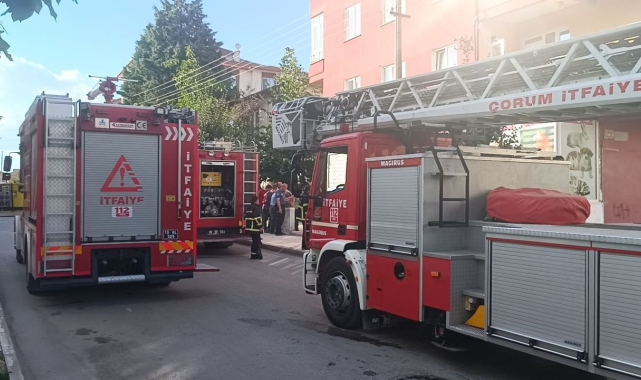 Çorum'da petshop mağazasında çıkan yangın korkuttu