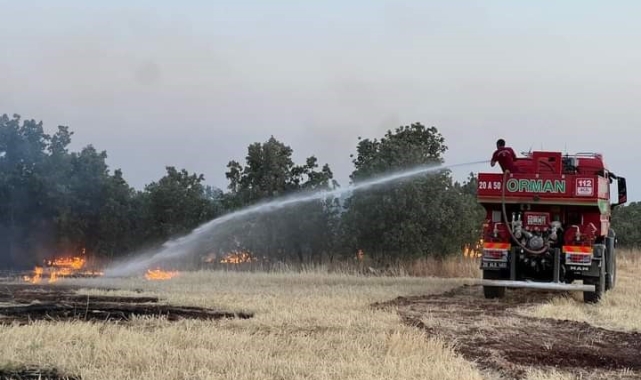 Denizli'nin Bekilli ilçesinde çıkan yangın söndürüldü