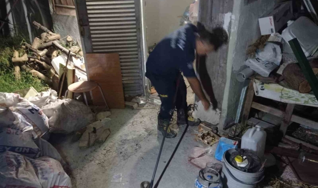 Depoya giren yılan özel aparatla yakalandı