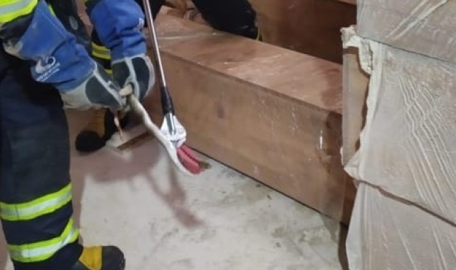 Depoya giren yılanı itfaiye ekipleri yakaladı