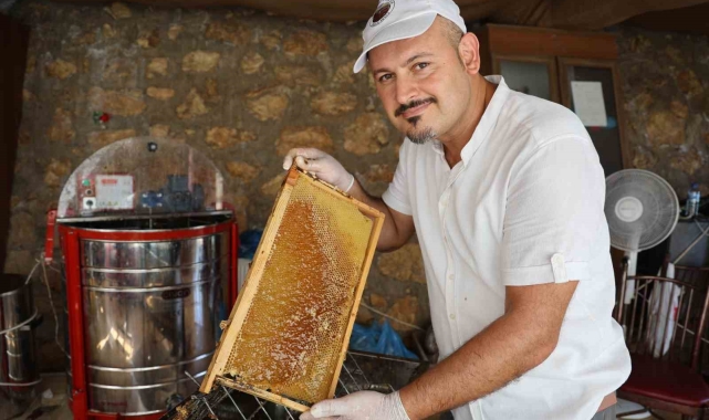 Depremzede arıcının yüzü bereketli geçen erken bal hasadıyla güldü