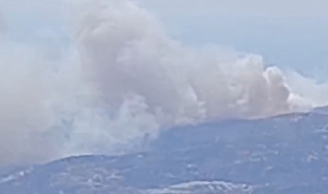 Dikili'de orman yangını