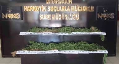 Diyarbakır'da dron destekli uyuşturucu operasyonu: 800 kilo esrar türevi ve 3 bin 276 kök kenevir ele geçirildi