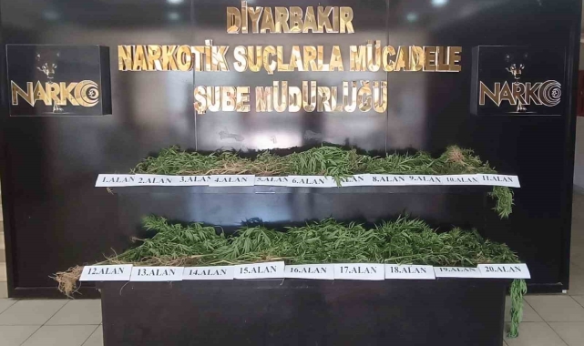 Diyarbakır'da dron destekli uyuşturucu operasyonu: 800 kilo esrar türevi ve 3 bin 276 kök kenevir ele geçirildi